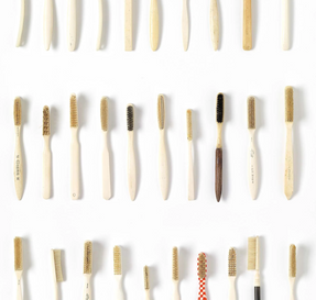 NLXL DRO-03 Toothbrushes Small