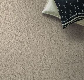 Anderson Tuftex Hello Beautiful Carpet