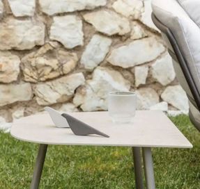 Fast Birds Decor