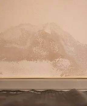 Peter Cox Barriera Peter Cox