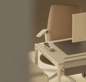 Beflo Gobi - Desk Tray