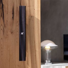 K-array Lyzard I Speaker