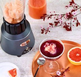 Santos Bar Blender 33