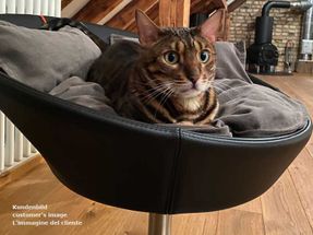 Pet-interiors Cosmo Cat Bed Deluxe