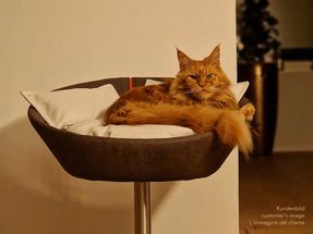 Pet-interiors Cosmo Cat Bed Deluxe