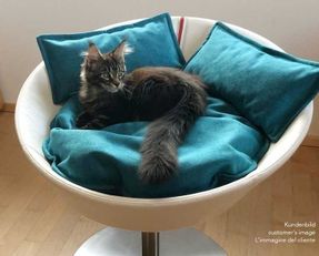 Pet-interiors Cosmo Cat Bed Deluxe