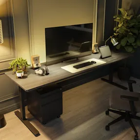 Imovr P1 Elite Standing Desk With 3d Laminate Desktop