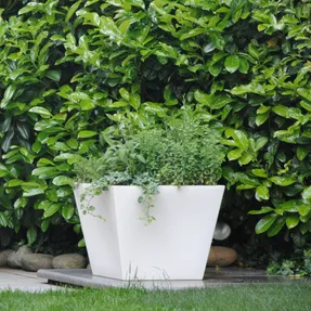 Serralunga Kabin Planter