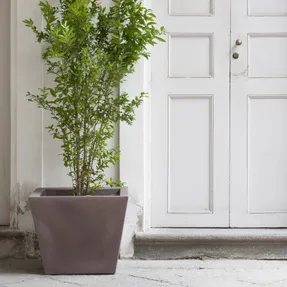 Serralunga Kabin Planter