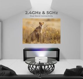 Zebronics Zeb PixaPlay 28 Projector