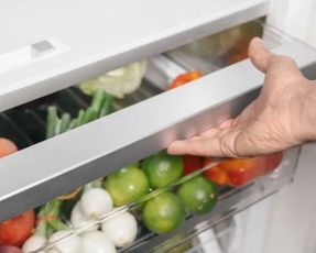 Thermador Freedom® Built-in Refrigerator Column 30'' Panel Ready