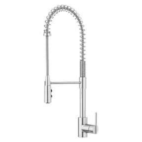 Pfister Faucets Brislin Kitchen Faucet