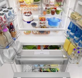 Thermador Professional Freestanding French Door Bottom Mount Refrigerator 36'' Professional Panel Ready, Stainless Steel