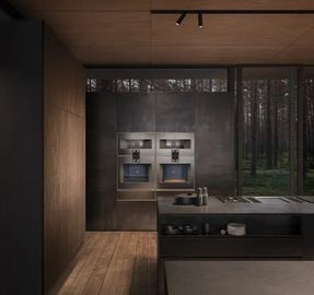 Gaggenau 400 Series Vario Freezer 24''
