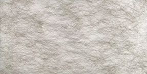 Creation Baumann Spider Fr Ii R Roller Blind