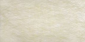 Creation Baumann Spider Fr Ii R Roller Blind