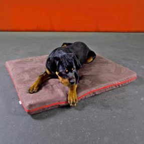 Pet-interiors Orthopedic Dog Mattress Mary