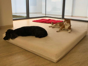 Pet-interiors Orthopedic Dog Mattress Mary