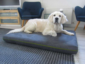 Pet-interiors Orthopedic Dog Mattress Mary