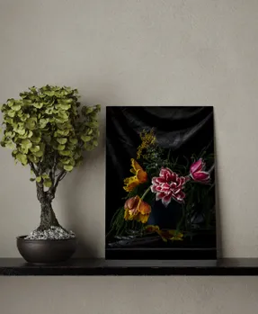 Helen Bankers Renaissance Series - Parrot Tulip