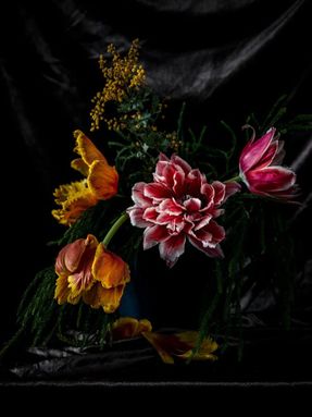 Helen Bankers Renaissance Series - Parrot Tulip