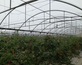 Laterlite Indoor And Outdoor Home Hydroponics Growing Medium