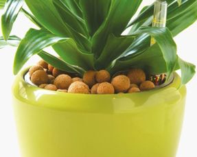 Laterlite Indoor And Outdoor Home Hydroponics Growing Medium