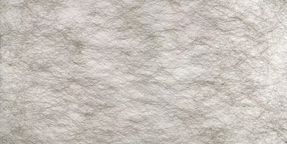 Creation Baumann Spider Fr Ii R Roller Blind