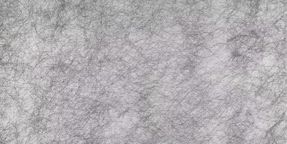 Creation Baumann Spider Fr Ii R Roller Blind