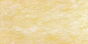 Creation Baumann Spider Fr Ii R Roller Blind