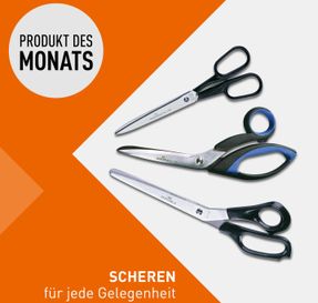 Durable Scissors Standard 25 Cm