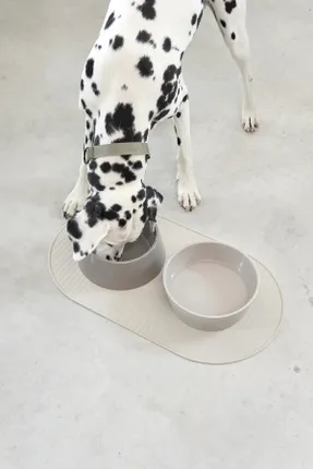 Miacara Pasto Dog Placemat
