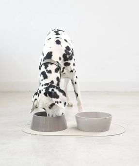 Miacara Pasto Dog Placemat