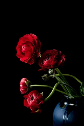Helen Bankers Renaissance Series - Red Rouge Rood