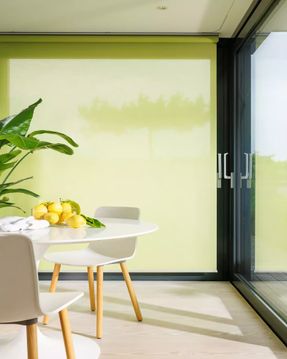 Creation Baumann Basic V Un R Roller Blind