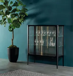 Tonin Casa Venus Showcases