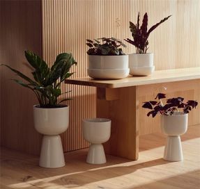 Iittala Plant Pot Beige Stemmed S High