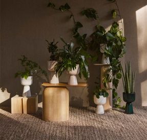Iittala Plant Pot Beige Stemmed S High