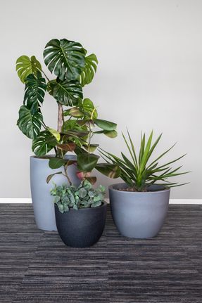 Gotessons Plant pot Verona 595