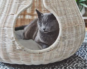 Miacara Perla Cat Cave Bed