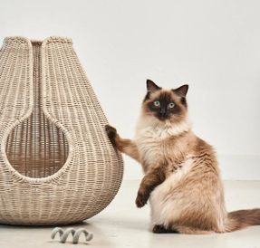 Miacara Perla Cat Cave Bed