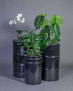 Gotessons Orchid Phalaenopsis 650 Artifical Plant