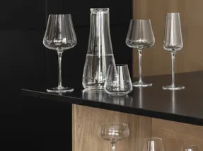 Blomus Belo Water Carafe