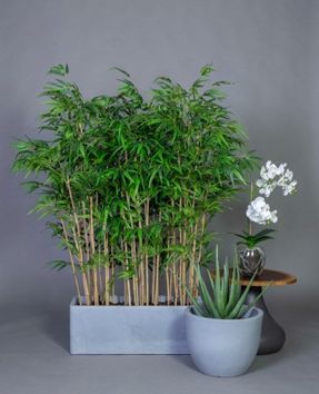 Gotessons Aloe Vera 550 Artifical Plant