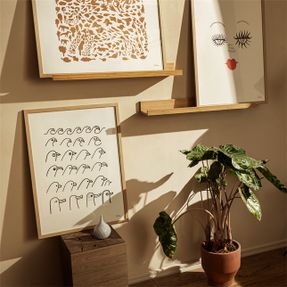 Iittala Art Poster 50x70cm Cheetah Brown
