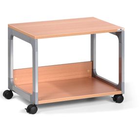 Durable Multi Function Trolley System 48
