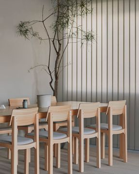 Creation Baumann Spectra V Vertical Blind