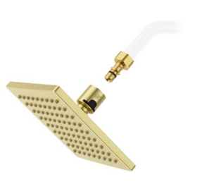 Pfister Faucets Pfirst Modern Raincan Showerhead