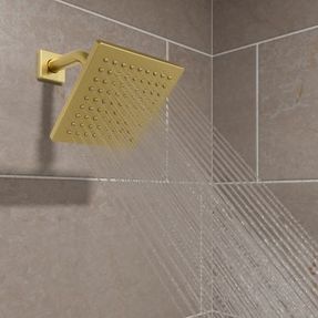 Pfister Faucets Pfirst Modern Raincan Showerhead