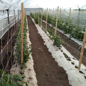 Tenax Hortonova Net Fences